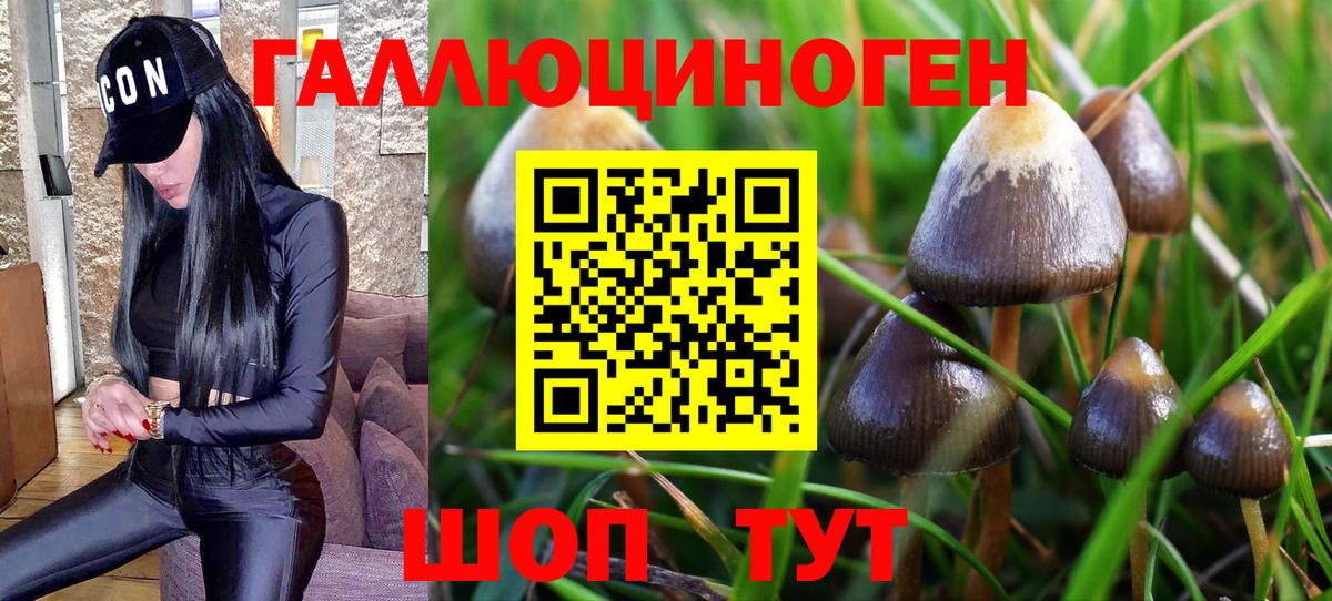 Галлюциногенные грибы мухоморы Отрадный