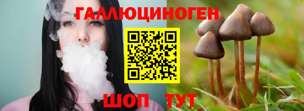 Галлюциногенные грибы GOLDEN TEACHER  Вход с VPN  Отрадный  Галлюциногенные грибы Cubensis 